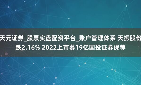 天元证券_股票实盘配资平台_账户管理体系 天振股份跌2.16% 2022上市募19亿国投证券保荐