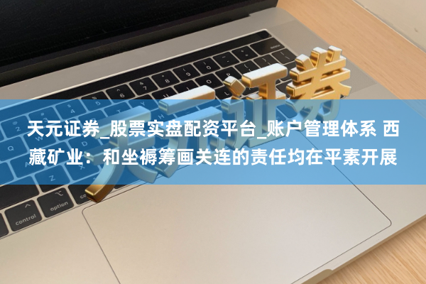 天元证券_股票实盘配资平台_账户管理体系 西藏矿业：和坐褥筹画关连的责任均在平素开展