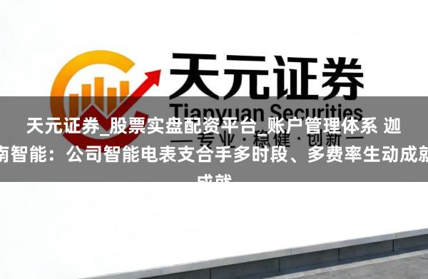 天元证券_股票实盘配资平台_账户管理体系 迦南智能：公司智能电表支合手多时段、多费率生动成就